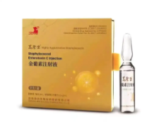 【高聚生】金葡素注射液